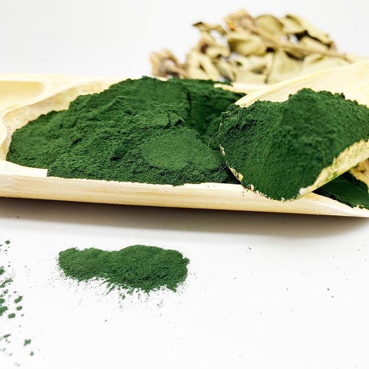 海澡粉輸送篩分工藝方案